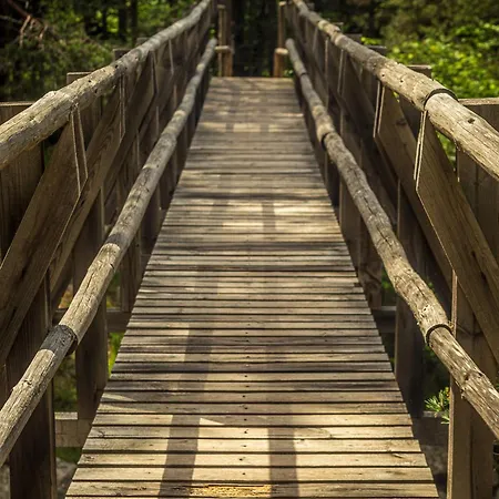 Hotel Cota1110 Beli Iskar